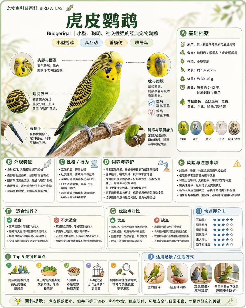 關係圖譜資訊圖