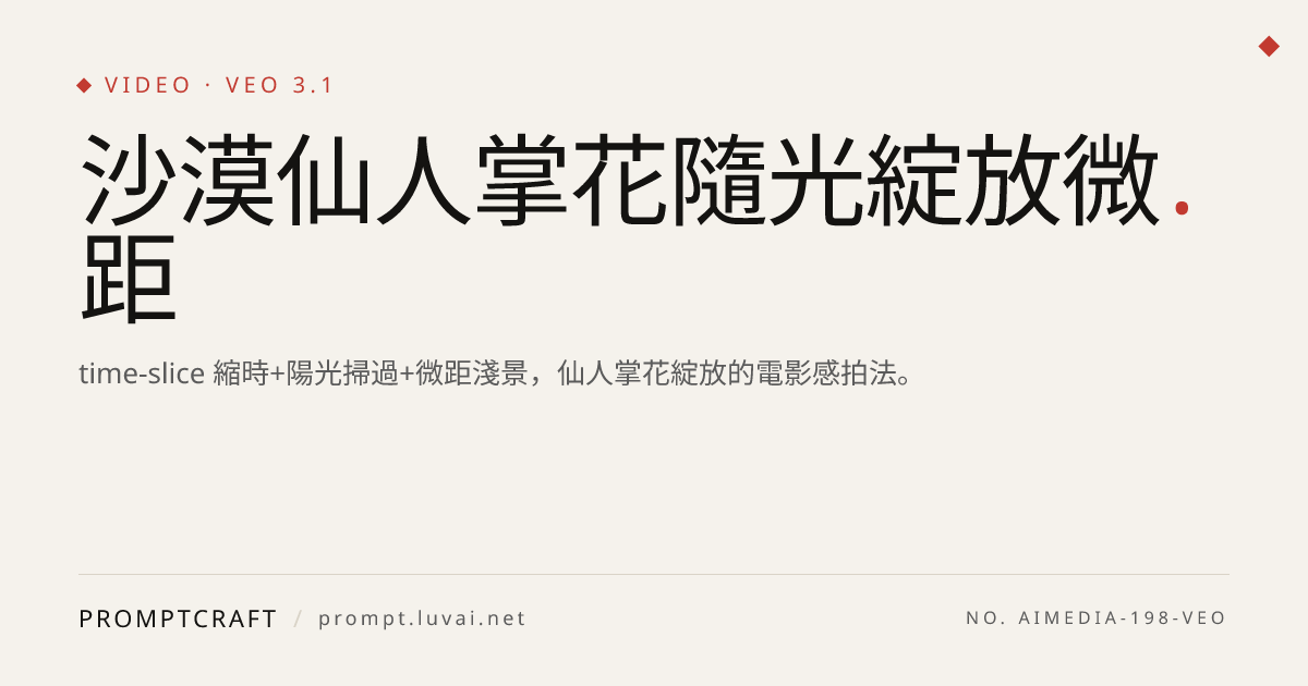沙漠仙人掌花隨光綻放微距